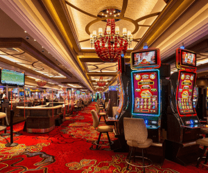 best ipl cricket id provider